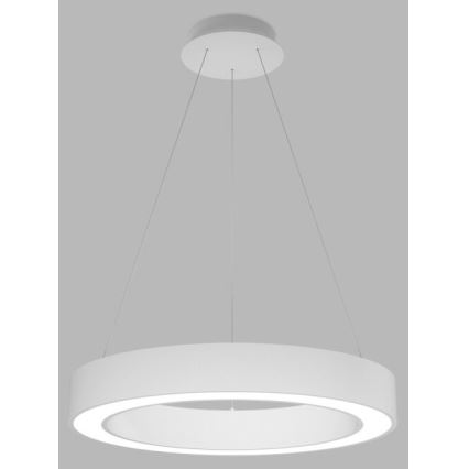 LED2 - Lampadario LED dimmerabile su una stringa SATURN LED/50W/230V 3000K/4000K bianco