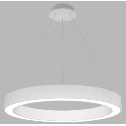 LED2 - Lampadario LED dimmerabile su una stringa SATURN LED/60W/230V 3000K/4000K bianco