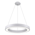 LED2 - Lampadario LED su filo SATURN LED/50W/230V 3000/4000K bianco