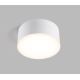 LED2 - Plafoniera LED BUTTON LED/17W/230V bianca