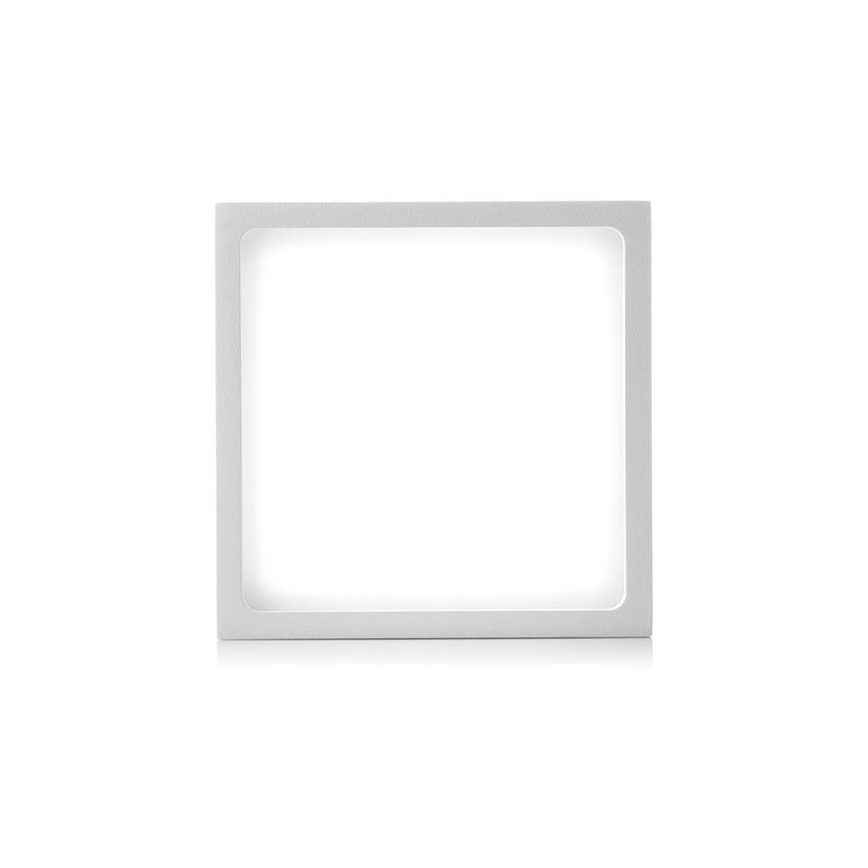 LED2 - Plafoniera LED da esterno CUBE LED/12W/230V bianca