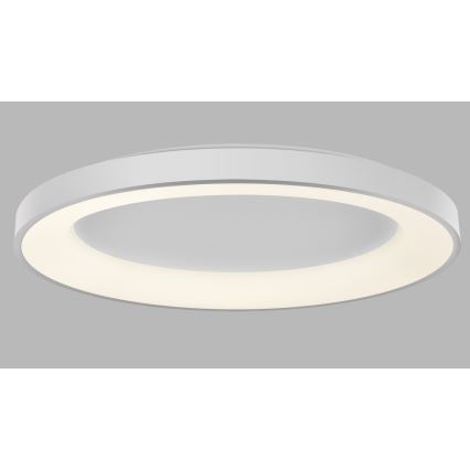 LED2 - Plafoniera LED dimmerabile BELLA LED/80W/230V 3000K/4000K bianco