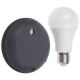 Ledvance - Altoparlante intelligente Google Nest Mini + Lampadina LED SMART+ E27/9W/230V
