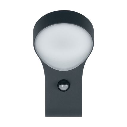 Ledvance - Applique a LED da esterno con sensore ENDURA LED/8W/230V IP44