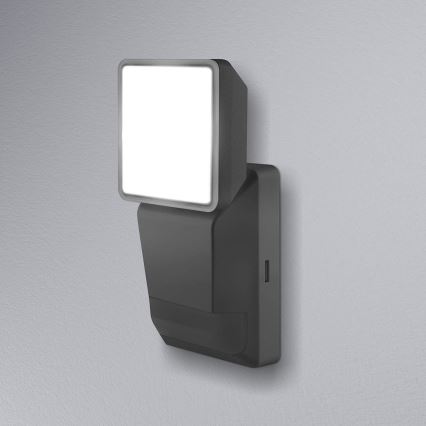 Ledvance - Applique da esterno a LED con sensore  SPOT LED/8W/230V IP55 nera