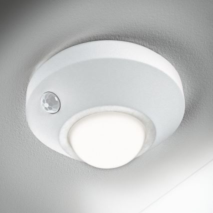 Ledvance - Lampada di orientamento LED con sensore NIGHTLUX LED/1,7W/3xAA 4000K