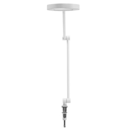 Ledvance - Lampada LED dimmerabile con clip SUN@HOME LED/15W/230V 2200-5000K CRI 95 Wi-Fi