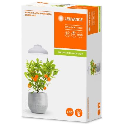 Ledvance - Lampada LED per interni LUCE DA GIARDINO LED/5W/5V