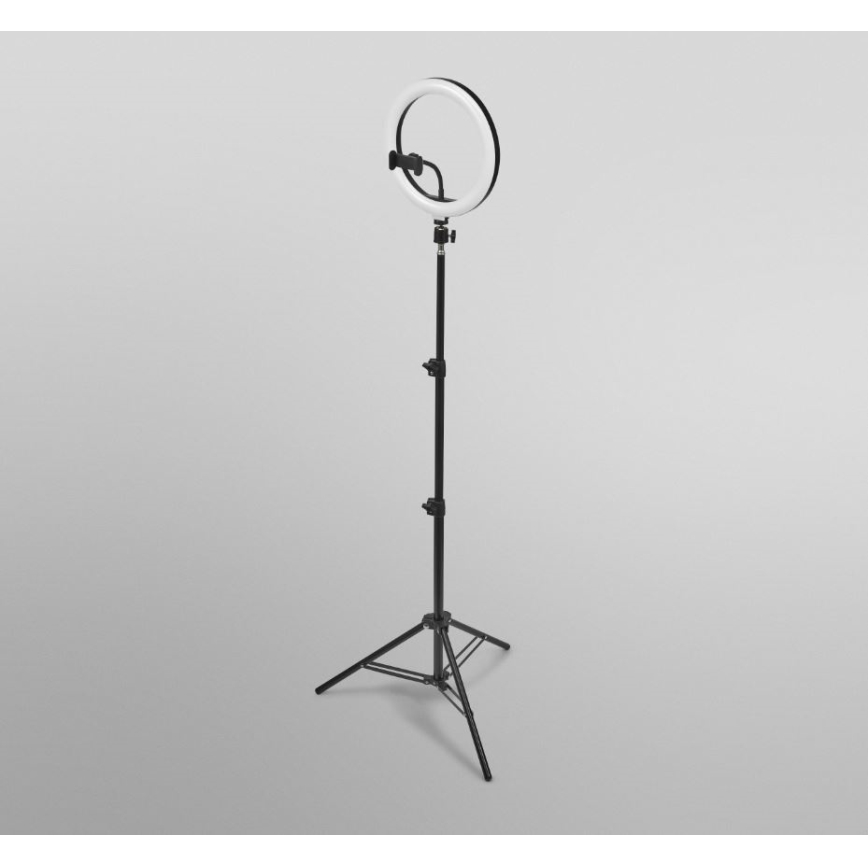 Ledvance - Lampada da terra dimmerabile a LED con un supporto e supporto per vlogging LED/6W/USB 3000/4000/6500K