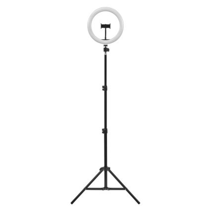 Ledvance - Lampada da terra dimmerabile a LED con un supporto e supporto per vlogging LED/6W/USB 3000/4000/6500K
