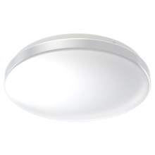 Ledvance - Plafoniera LED da bagno con sensore CEILING ROUND LED/24W/230V IP44