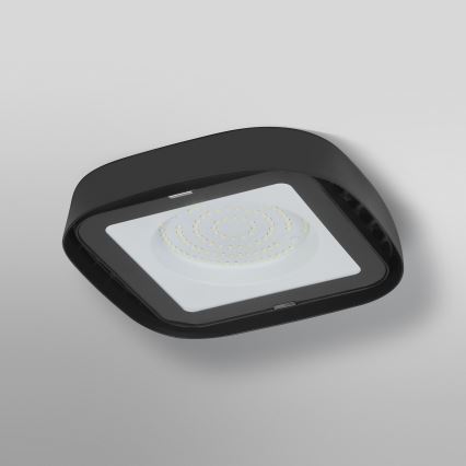 Ledvance - Plafoniera LED industriale HIGHBAY LED/80W/230V IP65 6500K