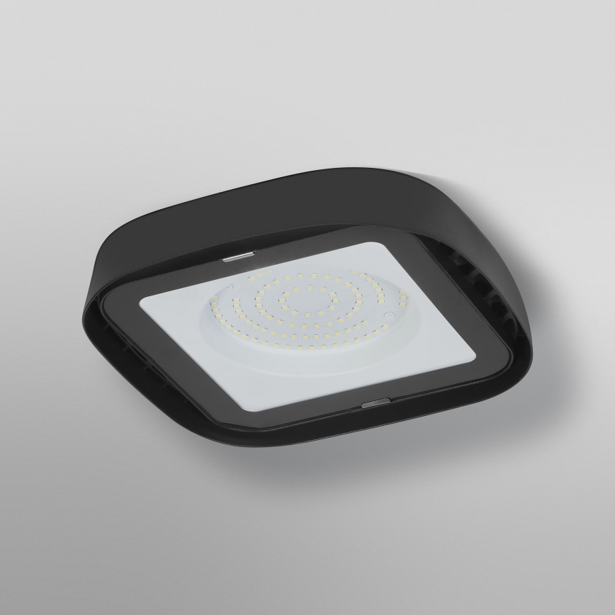 Ledvance - Plafoniera LED industriale HIGHBAY LED/80W/230V IP65 6500K