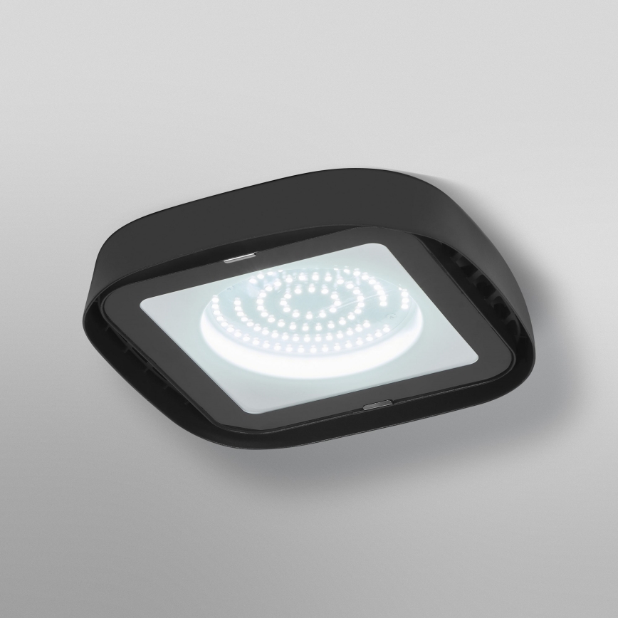 Ledvance - Plafoniera LED industriale HIGHBAY LED/80W/230V IP65 6500K
