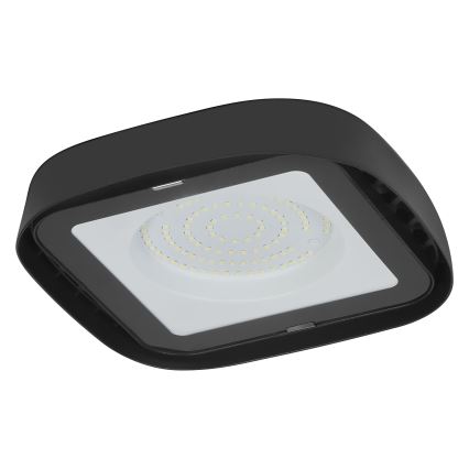 Ledvance - Plafoniera LED industriale HIGHBAY LED/80W/230V IP65 6500K