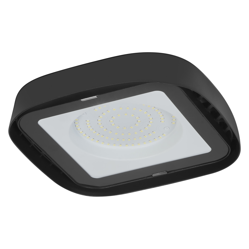 Ledvance - Plafoniera LED industriale HIGHBAY LED/80W/230V IP65 6500K