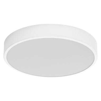 Ledvance - Plafoniera LED ORBIS SLIM LED/20W/230V bianco