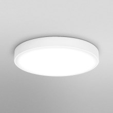 Ledvance - Plafoniera LED ORBIS SLIM LED/36W/230V bianco