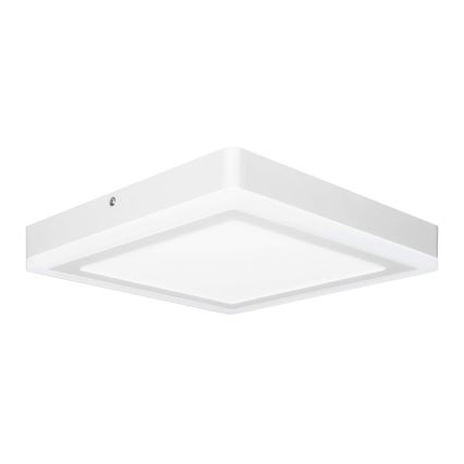 Ledvance - Plafoniera LED SQUARE LED/18W/230V