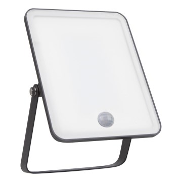Ledvance - Proiettore LED da parete per esterni con sensore di movimento e sensore crepuscolare FLOODLIGHT LED/30W/230V IP65
