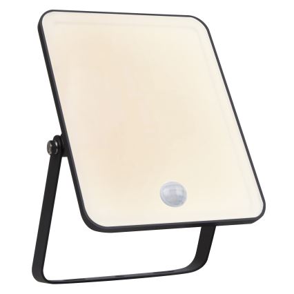 Ledvance - Proiettore LED da parete per esterni con sensore di movimento e sensore crepuscolare FLOODLIGHT LED/30W/230V IP65
