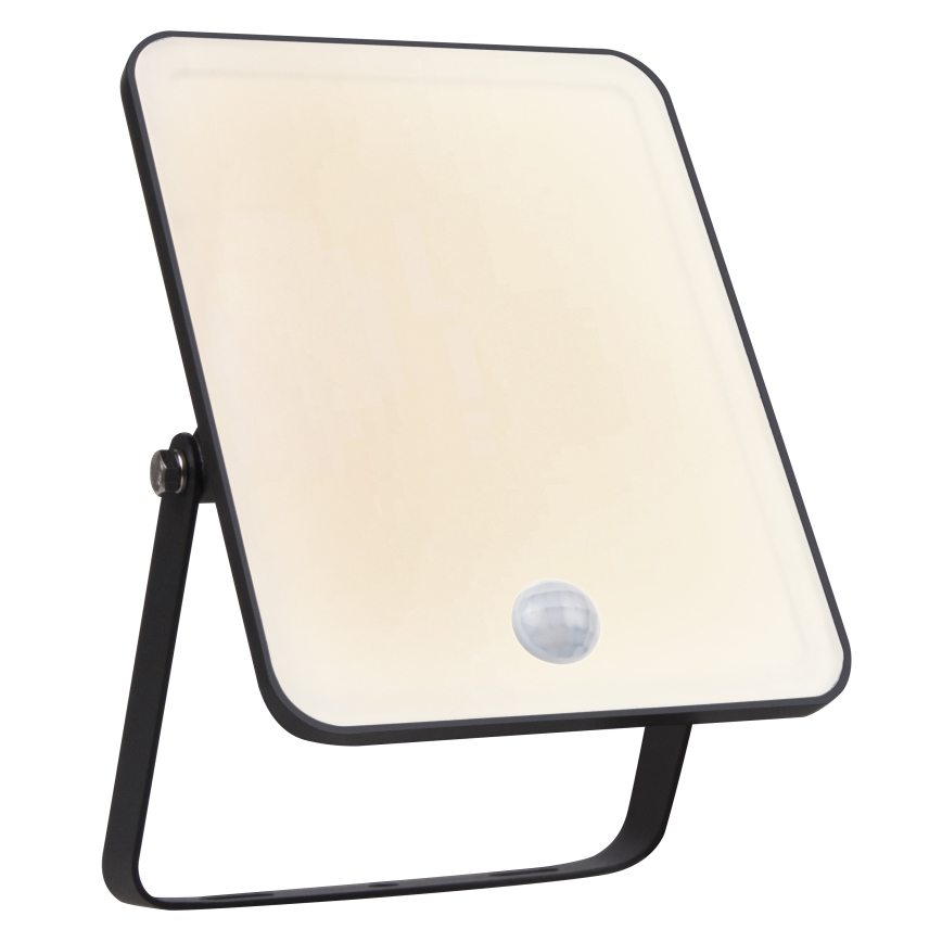 Ledvance - Proiettore LED da parete per esterni con sensore di movimento e sensore crepuscolare FLOODLIGHT LED/30W/230V IP65