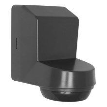 Ledvance - Sensore di movimento a infrarossi da esterno 230V IP55 grigio