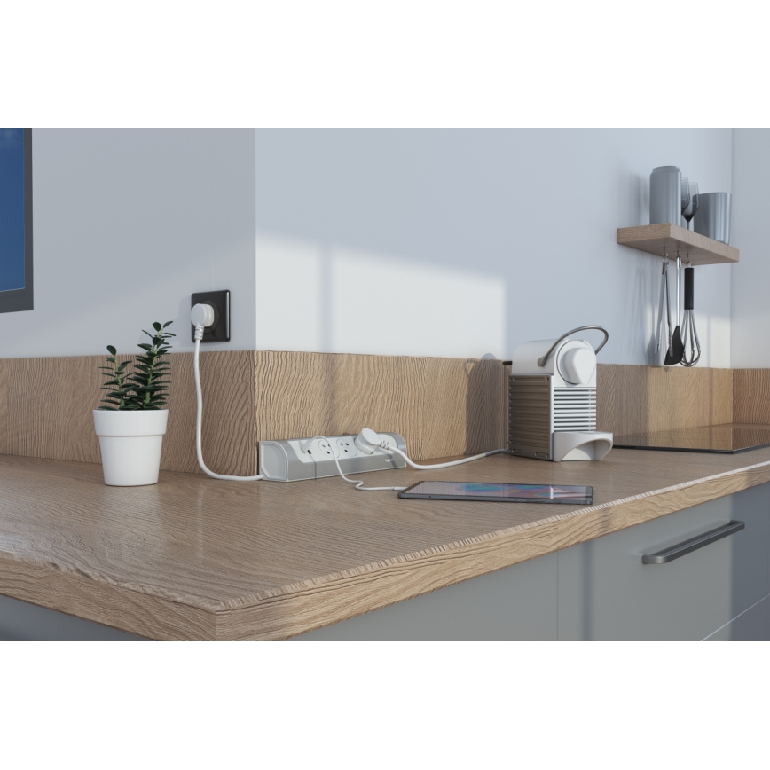 Legrand 049406 - Cavo di prolunga a 3 prese, Tipo E, con porte USB-A e USB-C, 1 m, argento/bianco