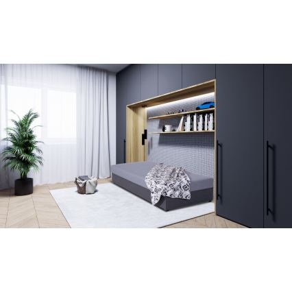 Letto imbottito con contenitore JACOB XL, portata 130 kg, 90x200 cm, grigio