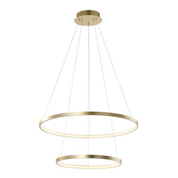 Leuchten Direkt 11525-12 -Lampadario LED a sospensione CIRCLE LED/18,5W/230V + LED/23,5W