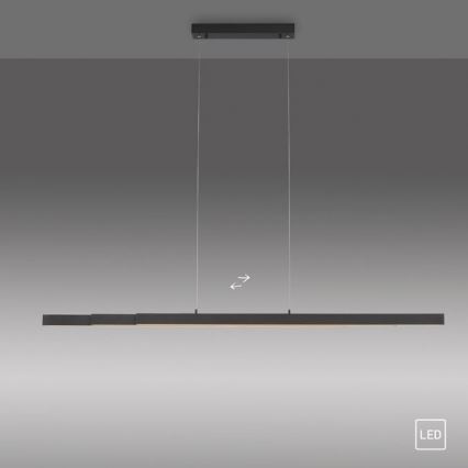 Leuchten Direkt 11660-13 - LED Regolabile lampadario su filo LUZI 3xLED/13W/230V nero