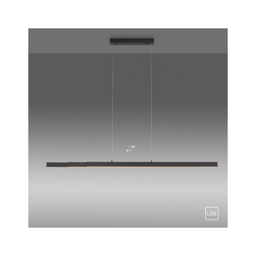 Leuchten Direkt 11660-13 - LED Regolabile lampadario su filo LUZI 3xLED/13W/230V nero
