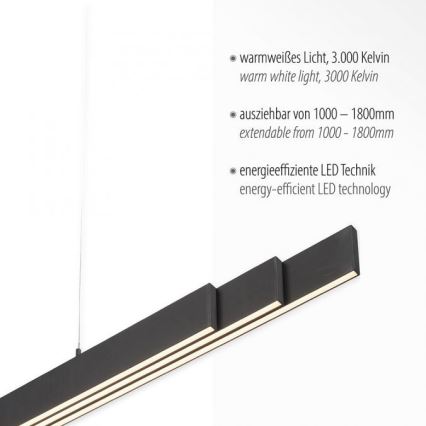 Leuchten Direkt 11660-13 - LED Regolabile lampadario su filo LUZI 3xLED/13W/230V nero