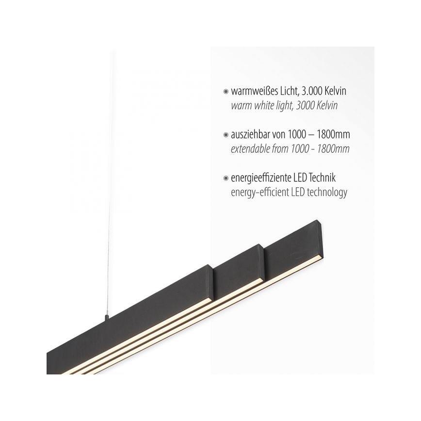 Leuchten Direkt 11660-13 - LED Regolabile lampadario su filo LUZI 3xLED/13W/230V nero