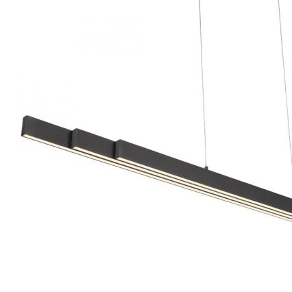 Leuchten Direkt 11660-13 - LED Regolabile lampadario su filo LUZI 3xLED/13W/230V nero