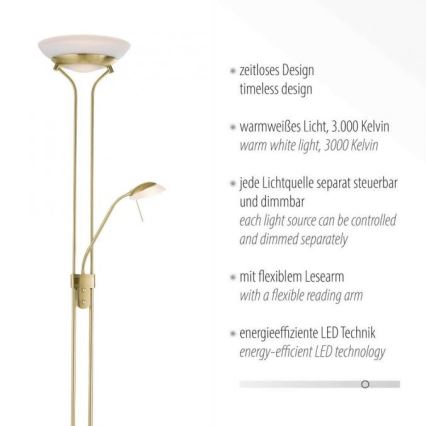 Leuchten Direkt 11730-60 - Lampada LED da terra dimmerabile ZAHARA LED/16W/230V + LED/5W