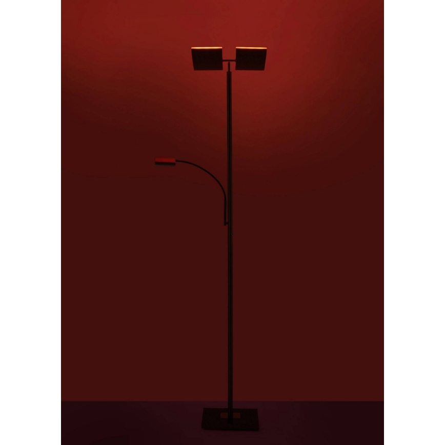 Leuchten Direkt 11925-55 - Lampada da terra LED RGB dimmerabile RUBEN 2xLED/11W/230V+LED/4,8W 2700-5000K + telecomando