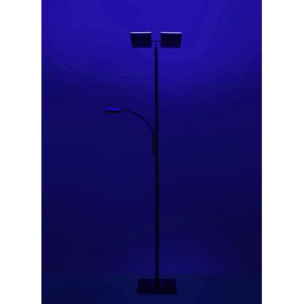 Leuchten Direkt 11925-55 - Lampada da terra LED RGB dimmerabile RUBEN 2xLED/11W/230V+LED/4,8W 2700-5000K + telecomando
