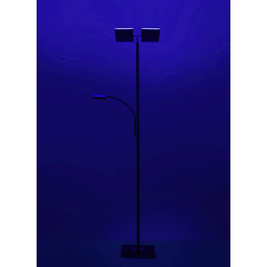 Leuchten Direkt 11925-55 - Lampada da terra LED RGB dimmerabile RUBEN 2xLED/11W/230V+LED/4,8W 2700-5000K + telecomando