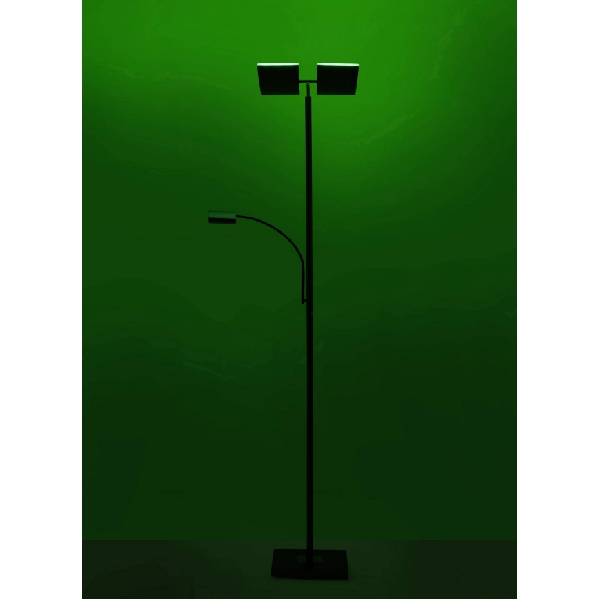 Leuchten Direkt 11925-55 - Lampada da terra LED RGB dimmerabile RUBEN 2xLED/11W/230V+LED/4,8W 2700-5000K + telecomando