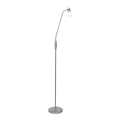 Leuchten Direkt 11938-55 - Lampada da terra LED MAX LED 1xGU10/4W/230V