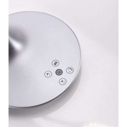 Leuchten Direkt 13061-21 - Lampada da tavolo LED dimmerabile touch RAFAEL LED/5W/230V 2700-6000K argento