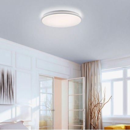 Leuchten Direkt 14209-16 - Plafoniera LED dimmerabile COLIN LED/32,4W/230V