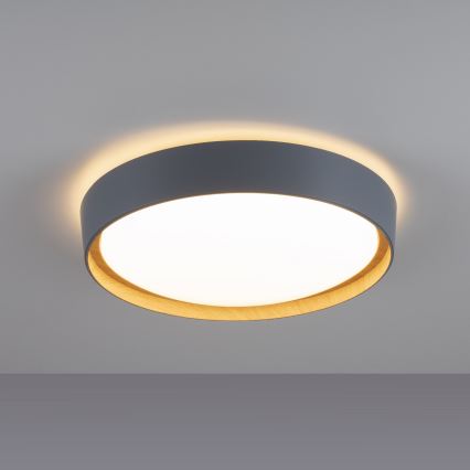 Leuchten Direkt 14347-15 - Plafoniera LED EMILIA LED/28,8W/230V grigio