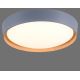 Leuchten Direkt 14347-15 - Plafoniera LED EMILIA LED/28,8W/230V grigio