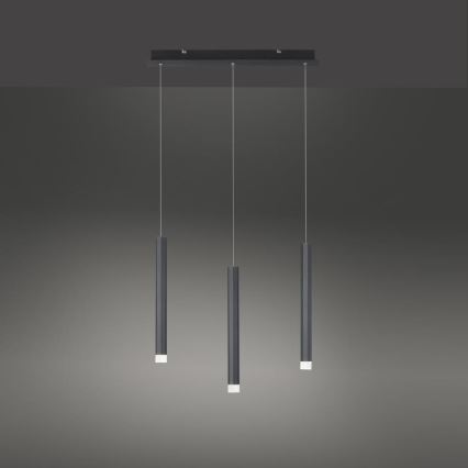 Leuchten Direkt 15203-18 - Lampadario a LED su una corda 3xLED/4,8W/230V nero