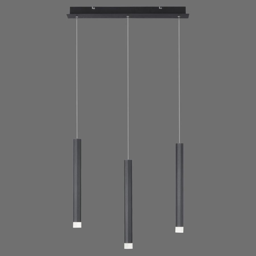 Leuchten Direkt 15203-18 - Lampadario a LED su una corda 3xLED/4,8W/230V nero