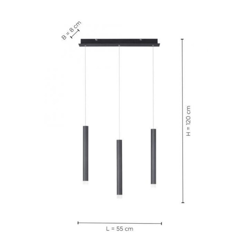 Leuchten Direkt 15203-18 - Lampadario a LED su una corda 3xLED/4,8W/230V nero