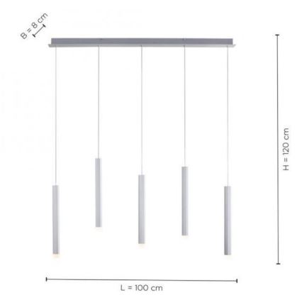 Leuchten Direkt 15205-95 - Lampadario LED su filo  BRUNO 5xLED/4,8W/230V