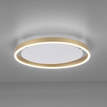 Leuchten Direkt 15391-60 - Plafoniera LED dimmerabile RITUS LED/20W/230V